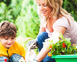 Family planting a garden